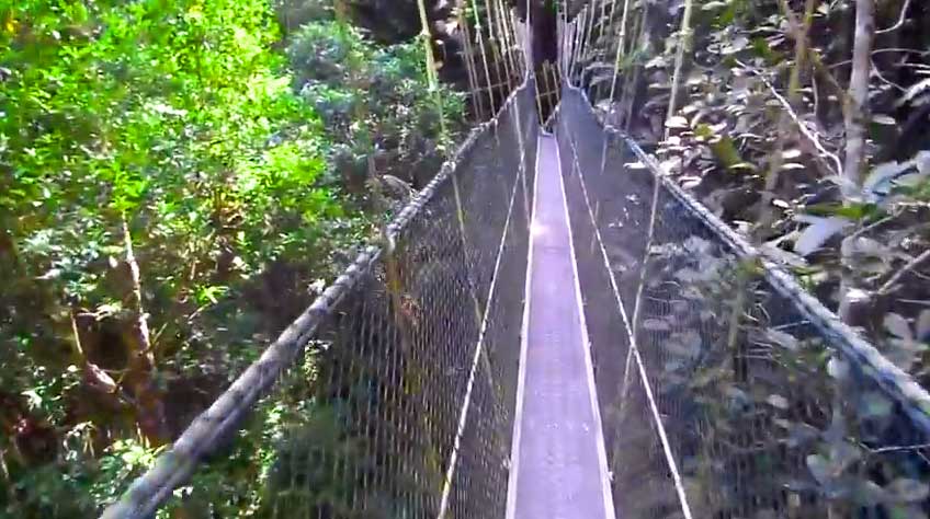 Penang National Park, George Town, Malaysia